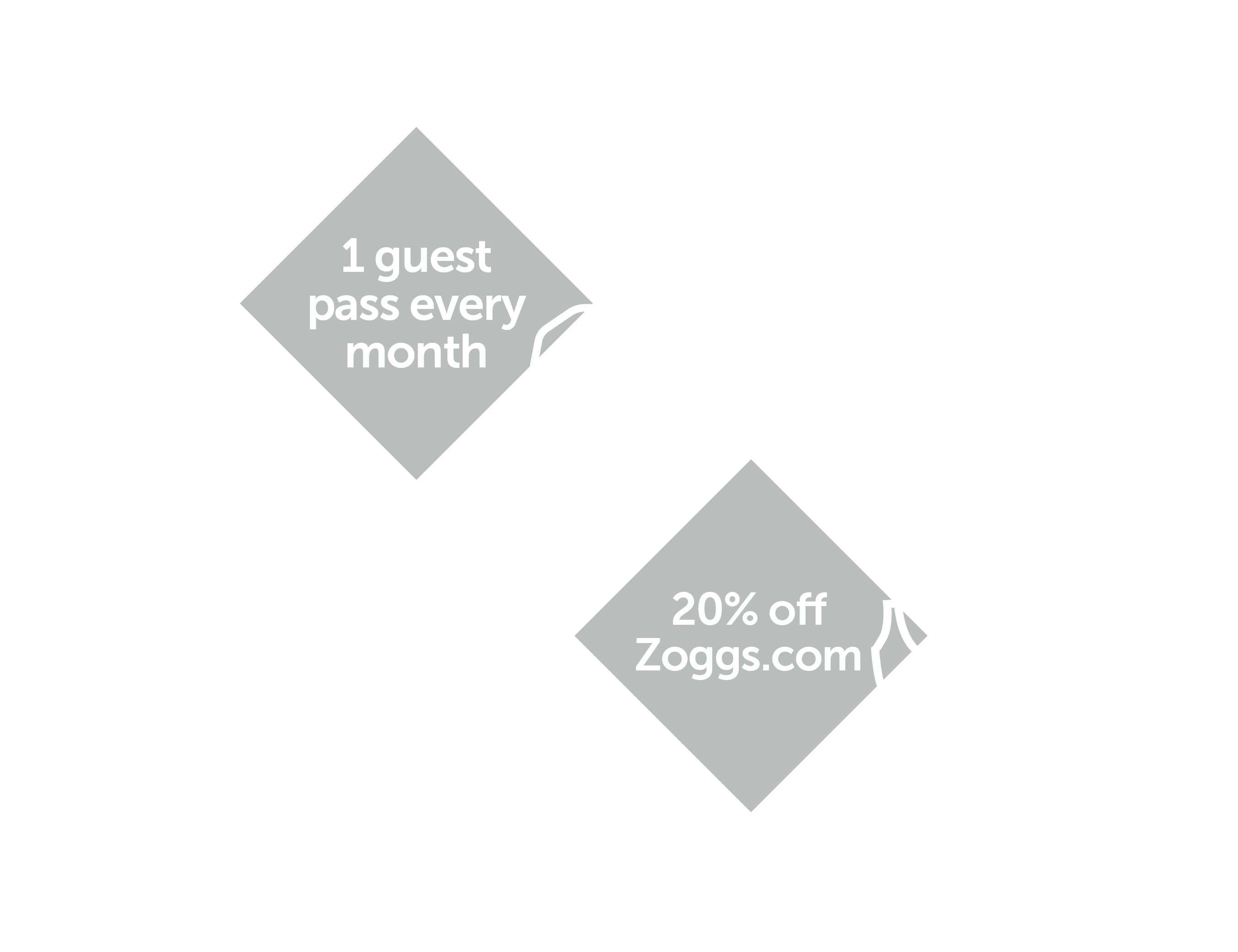 guest-zoggs