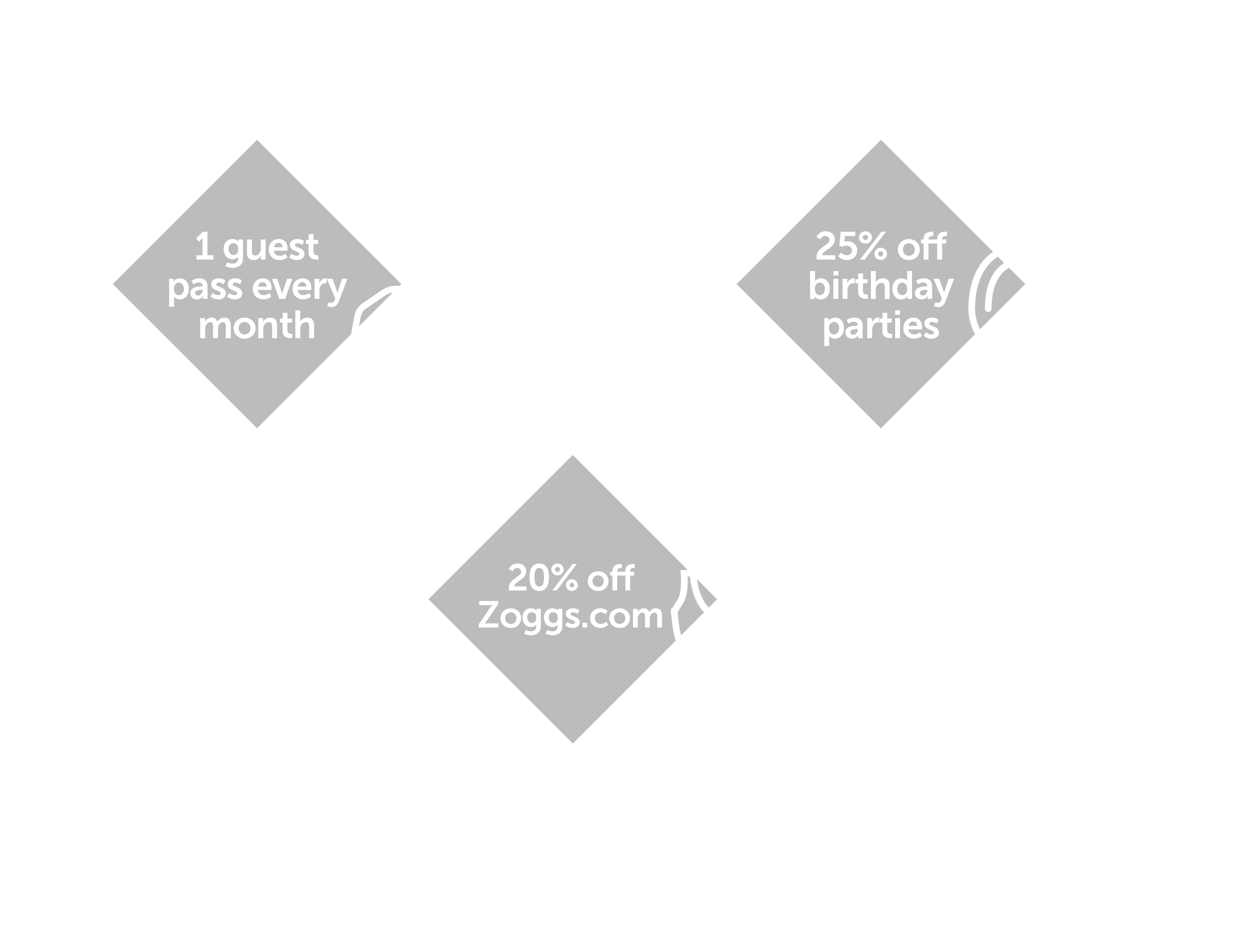 guest-parties-zoggs